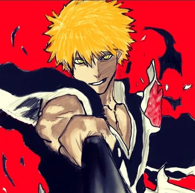 Ichigo Kurosaki - a rift