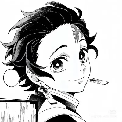 Tanjiro Kamado  ྀི