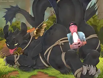 Toothless // Bound