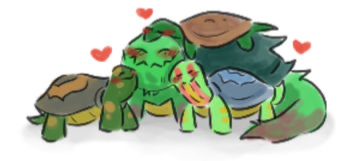 Turtle time (not my picture)