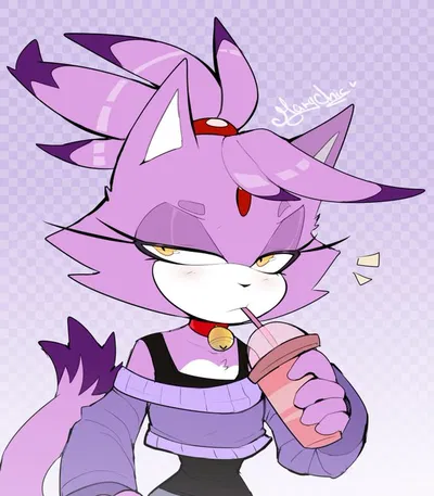 Blaze the Cat (College AU)