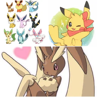 Your 11 female pokemons