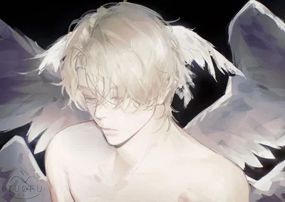 .𖥔 ݁ ˖╭ ┆Fallen Angel╰⊹ ࣪