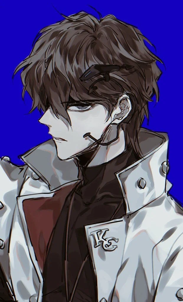 Seto Kaiba | Cat