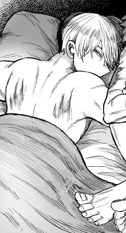 Shoto Todoroki (Shoto) ❄️🔥 