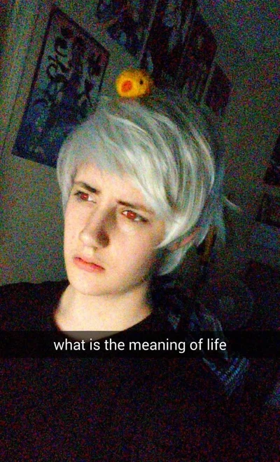 what is the meaning of life