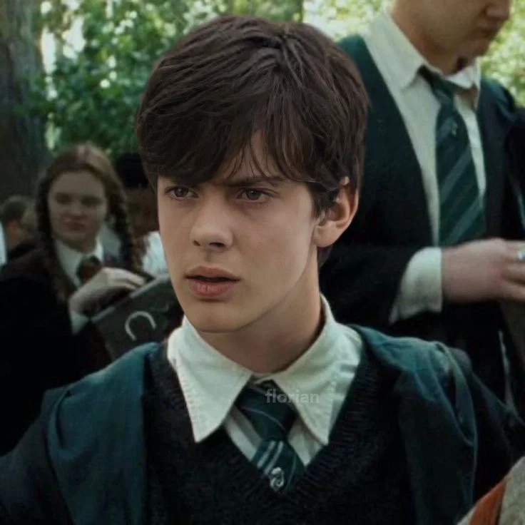 Edmund Pevensie | Hogwarts au