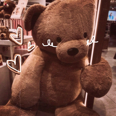 𑣲⋆ human teddy bear !! ꩜。