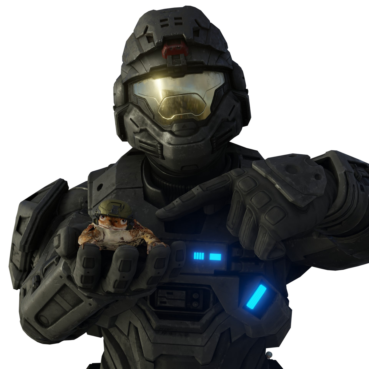 Noble six showing you his pet frog - Halo: Reach