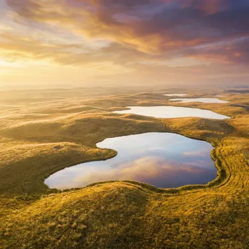 The Eternal Golden Grasslands