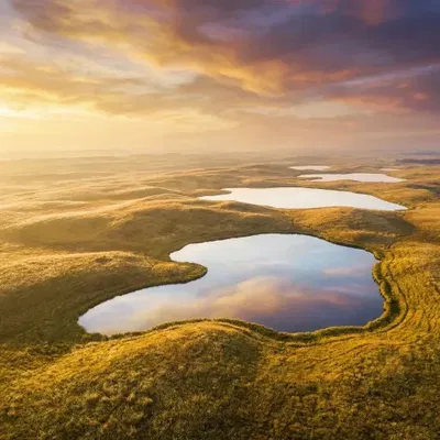 The Eternal Golden Grasslands
