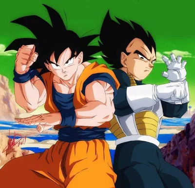 Goku and vegeta 