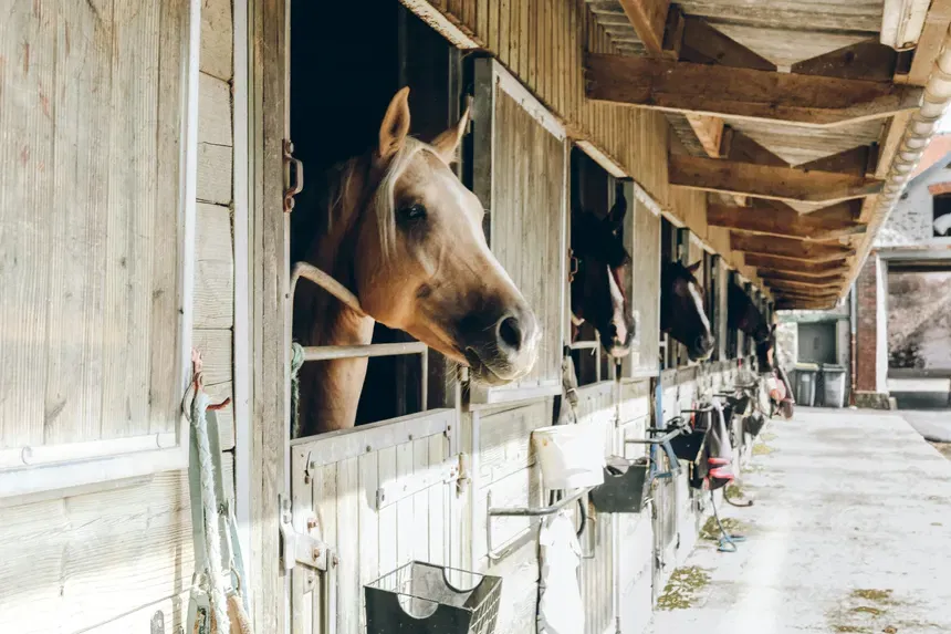 Equestrian RPG