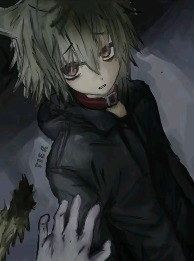 Stray catboy
