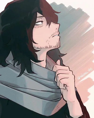 Shota Aizawa - MHA Canon