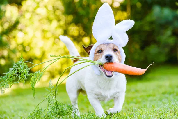 Happy Easter