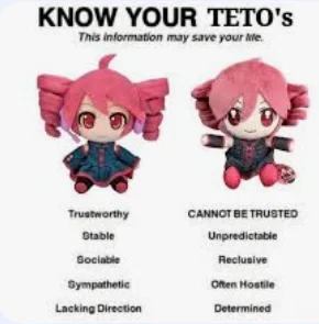 Teto