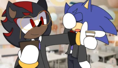 HS | Shadow the Hedgehog