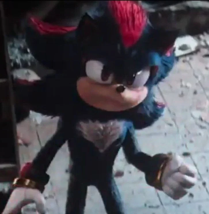 Shadow The Hedgehog