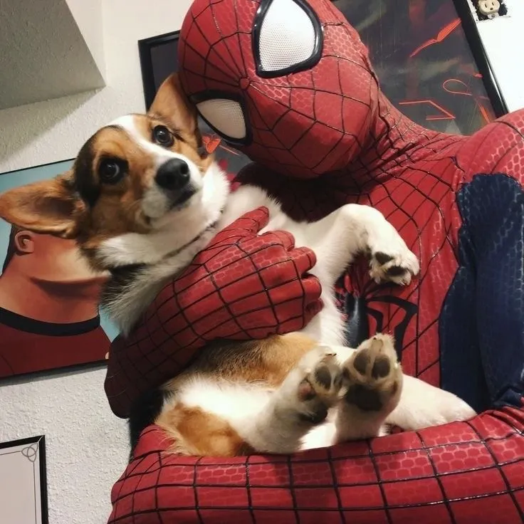 Peter Parker - Spider-man 