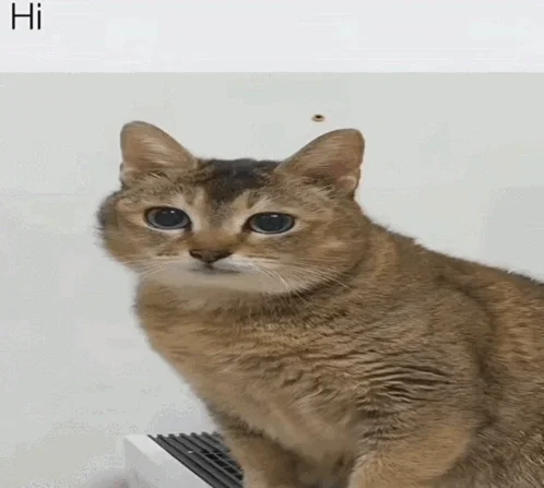 possibly going on hiatus