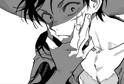 ๑◝。Monkey D Luffy 。◜⁠๑
