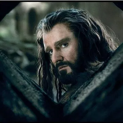 Thorin Oakenshield