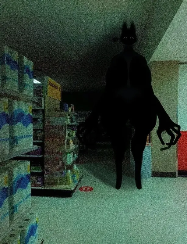 Noctelle - Mall Entity ???