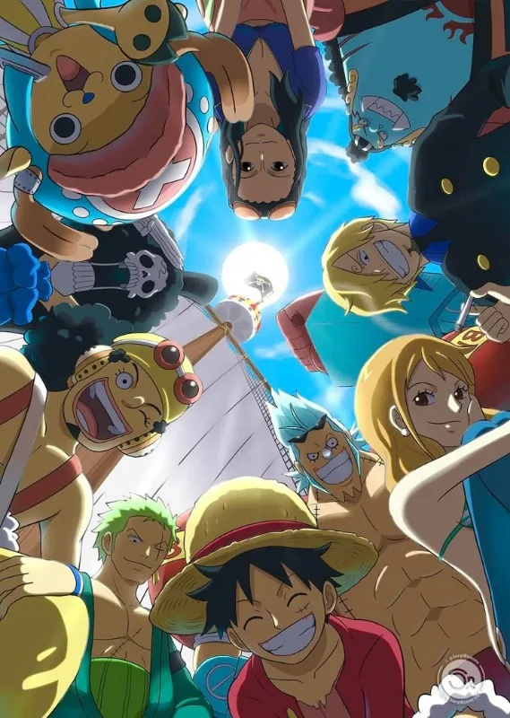 Luffy,Zoro,Nami,Usopp,Sanji,Chopper,Robin,Franky,Brook