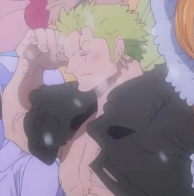 Roronoa Zoro // Sweet Naps