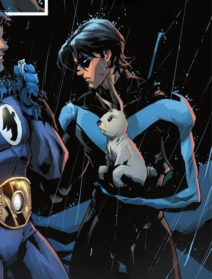 Nightwing !