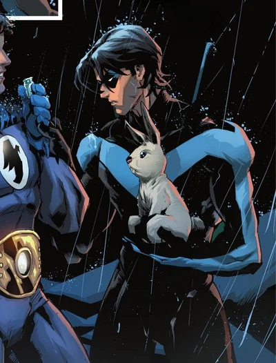 Nightwing !