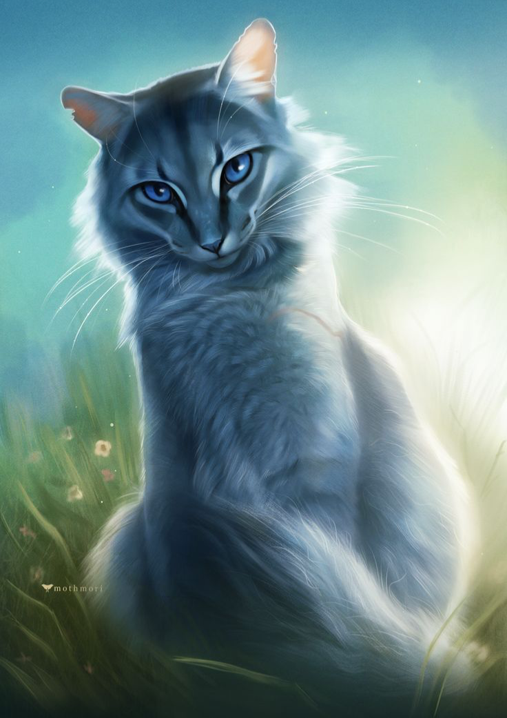 Willowpelt