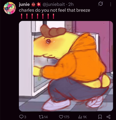 Bot creator discord