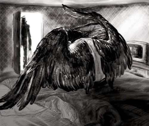 Igor Raven 
