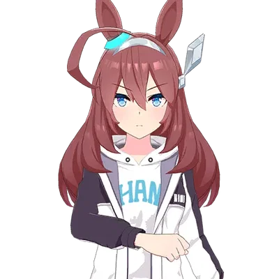 500 followers. (Ask me anything if you want)