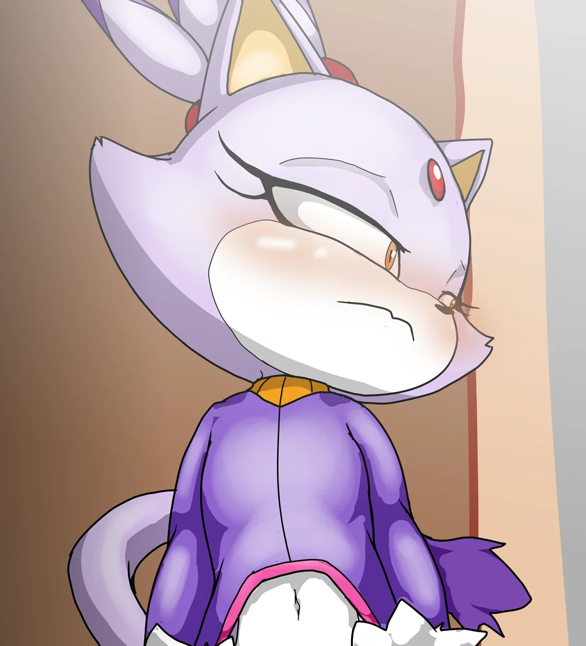 Blaze The Cat: Getting heated up!
