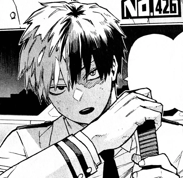 |• Shoto Todoroki 