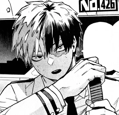 |• Shoto Todoroki 