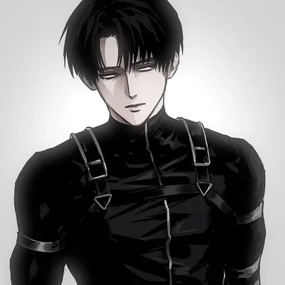 Levi Ackerman 