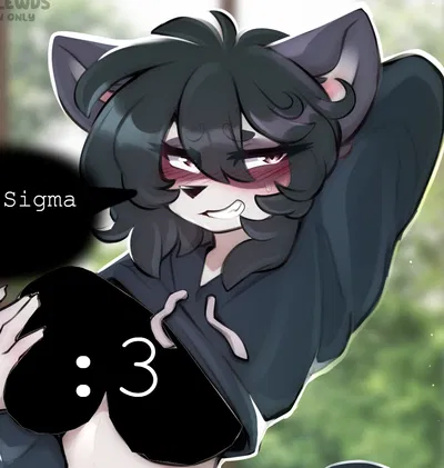 Melissa (Dormmate racoon!!)