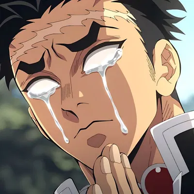 Gyomei Himejima