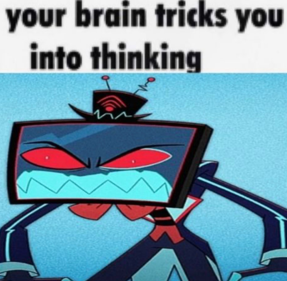 🦈Vox⚡️