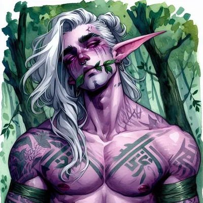 Bellemar the Druid