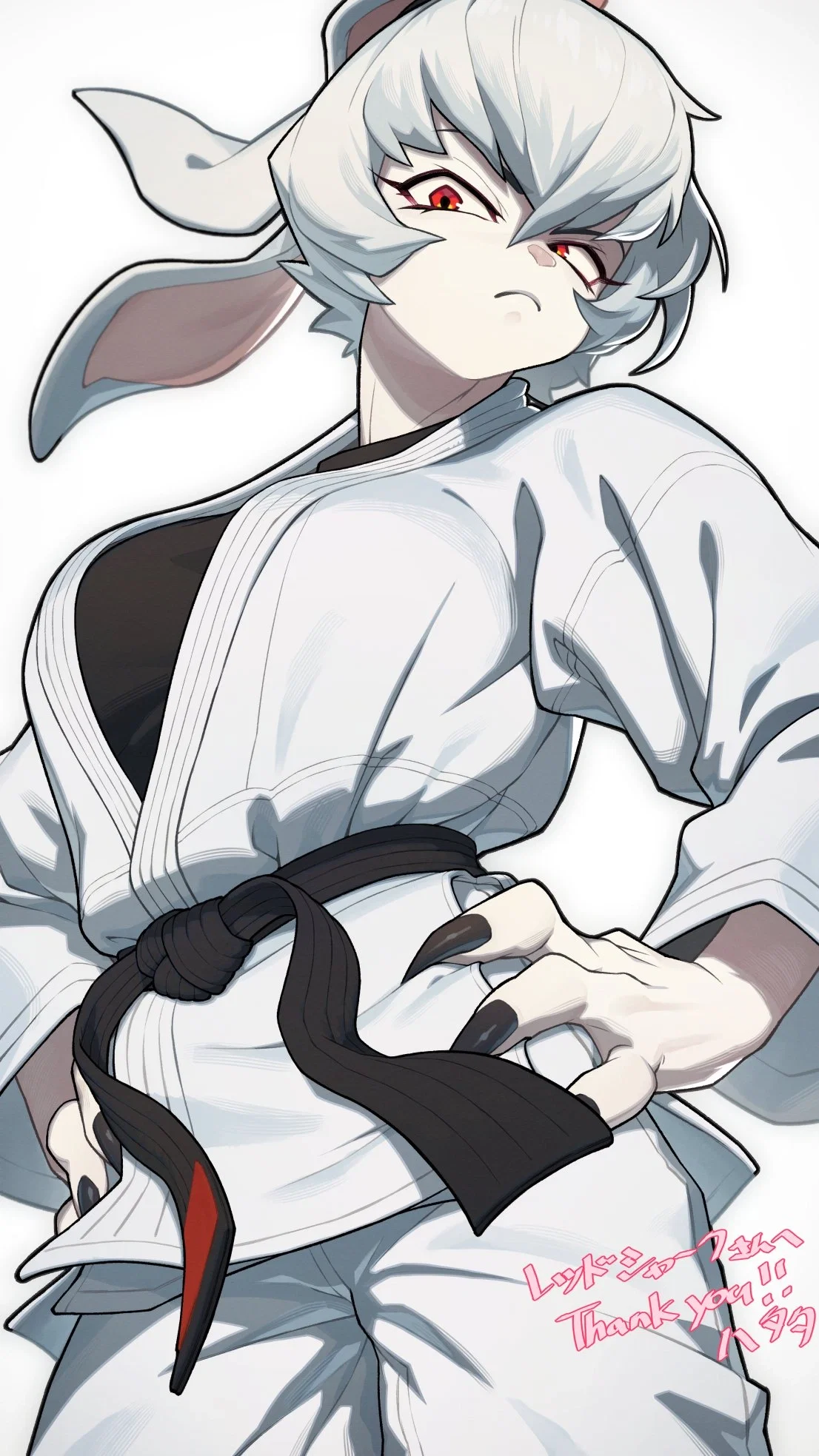 Aira | Your tough bunny sparring partner