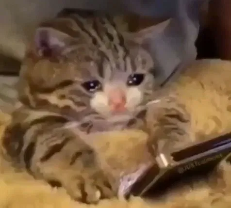 my goodbye (maybe)