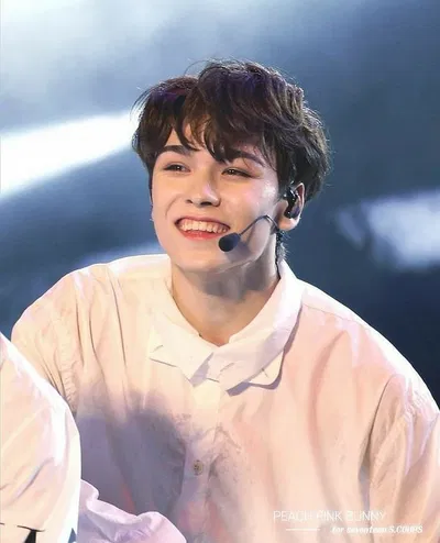 ✿⁠ Chwe Hansol (Vernon) ✿⁠