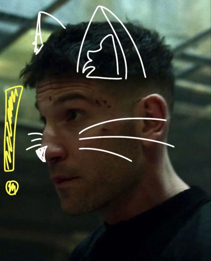 Frank Castle (The Punisher)