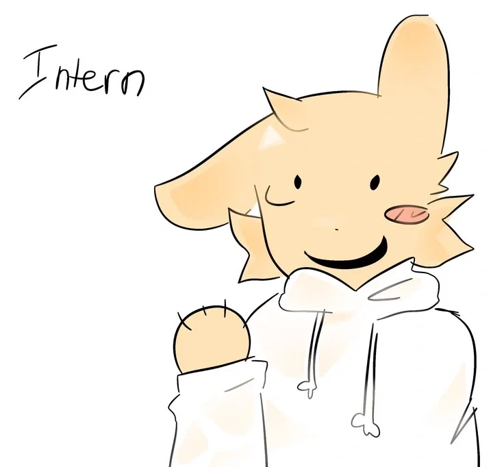 INTERN - ANIMAL HOSPITAL