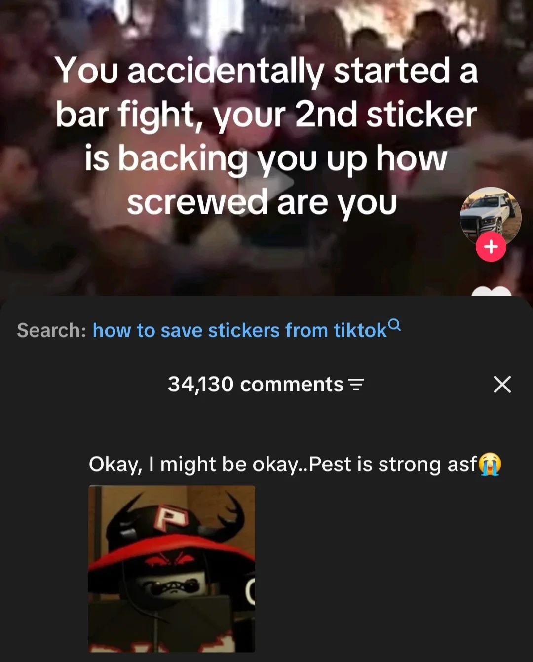 Pest - Bar Fight